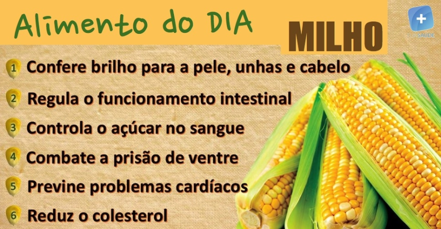 Produtos variados de milho